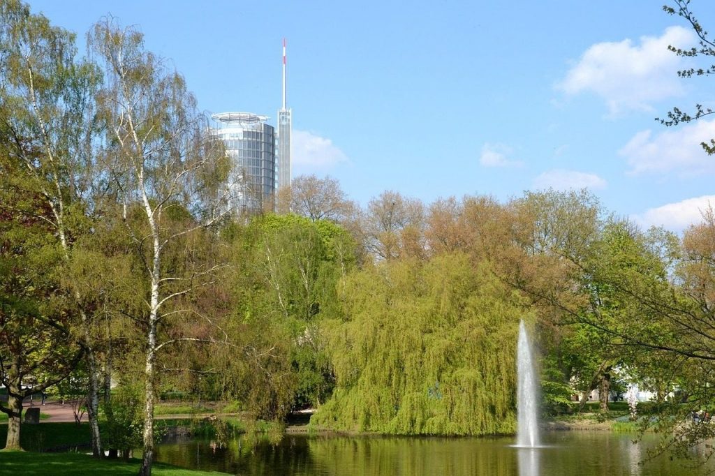 AVGS Gründercoaching Essen